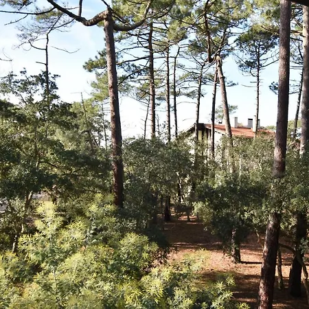 Apartman Chalosse - - Agreable Proche De L'ocean